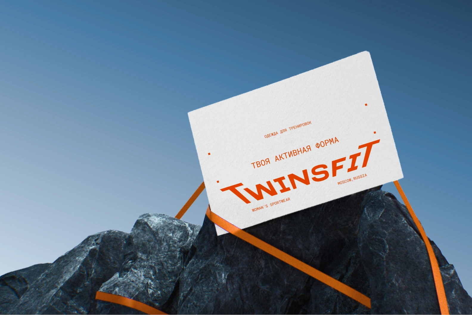 تدقيق مكافحة الأزمة — دراسة حالة TWINSFIT
